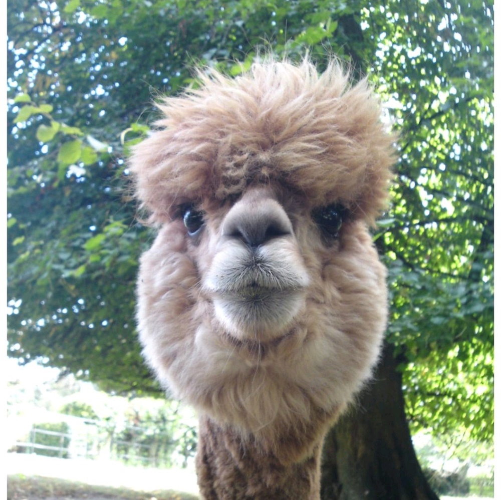 Meet your Posher, Jill